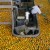 CROP WATCH: OLIVES/ CITRUS/ WALNUTS /CORN/ SOYBEANS