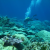 Scientists Recommend Action Plan To Combat Alarming Changes To West Coast Seawater Chemistry