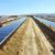 Plans For More Big Solar Farms