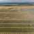 Siempra Acquires Fresno Solar Project From Recurrent Energy