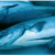 California’s King Salmon Season Reopens