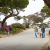 Los Osos neighbors win appeal of vacation rental