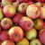 Apple exports down 27 percent