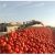 Key crop prices turn higher