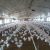 Tulare County farm receipts reach $8 billion in 2021