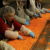 Ag beat: Carrot farmer suports Cal Poly/more