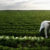 Valley sees loss of farm jobs-down 20%