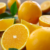 VALENCIA ORANGE PRODUCTION FORECAST AT 17.2 MILLION CARTONS