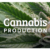 Pot #2 crop in Santa Barbara County/ Cannabis tops lettuce in Monterey County