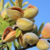 California’s almond acreage drops with price