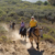 Los Osos Committee backs equestrian trail use