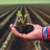 Coastal counties release 22’ crop reports