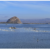 Oyster Farming helps to clear Morro Bay Estuary?