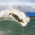 Surf Ranch will add 40 acres – bring more visitors ….kowabunga!