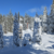 Central Sierra Snow Lab gets almost 4 ft